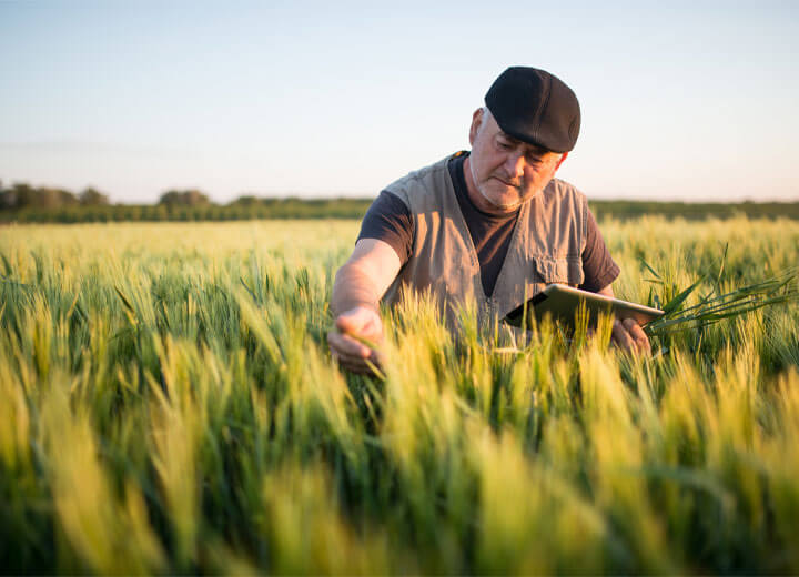 From Farm Sourcing To Bulk Delivery